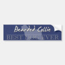Buscar collie pegatinas parachoque Beardie