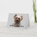 Buscar yorkshire terrier tarjetas Cachorro