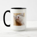 Buscar bebé lindo tazas botellas Fotografía