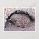 Buscar colocación postales Fotografía