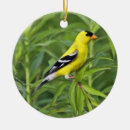 Buscar goldfinches decoracion Fauna