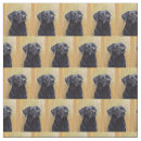 Buscar labrador retriever telas Perrito