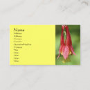 Buscar columbine tarjetas de visita Columbina