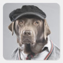 Buscar perros vestidos pegatinas Animal