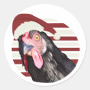 Buscar pollos divertidos pegatinas Para todos