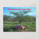 Buscar kalikimaka del mele postales Navidades