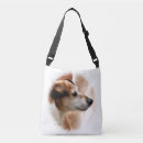 Buscar jack russell bolsos Adorable