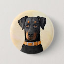 Buscar doberman chapas Pinscher