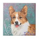 Buscar del gallo azulejos Lindo