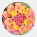 Buscar lantana pegatinas Flores