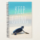 Buscar tortuga agendas Playa
