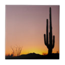 Buscar tucson azulejos Planta