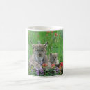 Buscar lince tazas Lindo