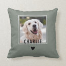 Buscar nombre del perro cojines Para ella