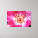 Buscar estambres decoracion General y unisex