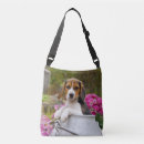 Buscar beagle bolsos Divertido