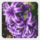 Buscar azul ii pegatinas Floral