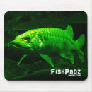 Buscar almizclado Agua