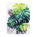 Buscar frente imanes Palmera