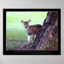 Buscar bambi posters Venado