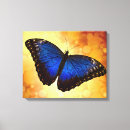 Buscar mariposa azul lienzos Vibrante