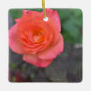 Buscar coral adornos Rosa