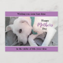 Buscar pereza postales Cansado