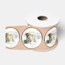Buscar labrador retriever cintas Perrito