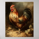 Buscar gallos arte Para todos