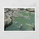 Buscar florece postales Viajar
