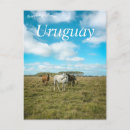 Buscar uruguay postales América del sur