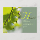 Buscar esperanza de vida postales Estímulo