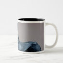Buscar chacal tazas Décimo octavo