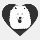Buscar samoyed pegatinas Para todos