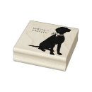 Buscar magyar postales Cachorro