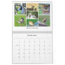 Buscar aves calendarios Observación de aves