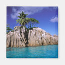 Buscar la digue imanes Palmera