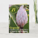 Buscar protea fotografía Amante de las flores