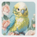 Buscar parakeet pegatinas Paracaídas