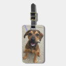 Buscar no lucrativo accesorios Rescate