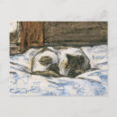 Buscar cama postales General y unisex