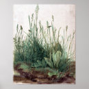 Buscar planta de plátano posters Naturaleza