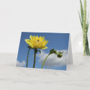 Buscar dali tarjetas Amarillo