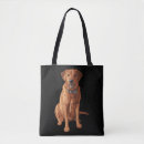 Buscar labrador retriever bolsos Animales