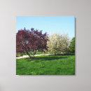 Buscar árboles lienzos Jardines