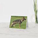 Buscar sable tarjetas Perros