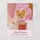 Buscar perros lindos postales Perro pequeño