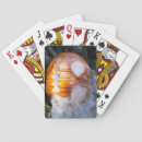 Buscar jinete barajas de cartas Halloween