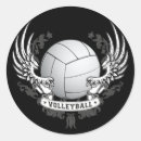 Buscar voleibol pegatinas Playa