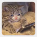 Buscar meme del internet pegatinas Chiste